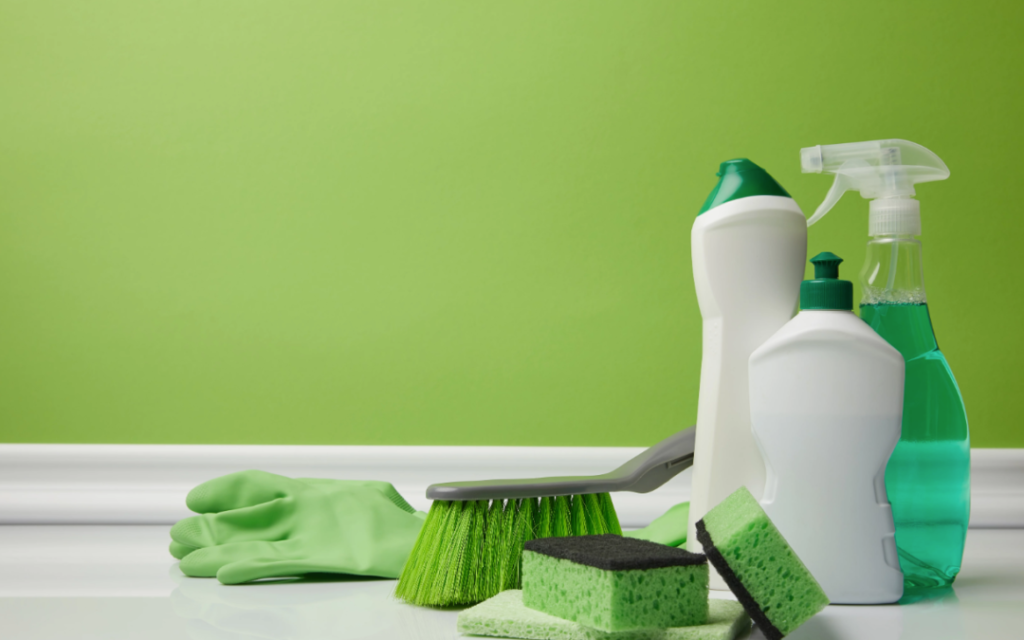 Top Green Business’s Cleaning Services