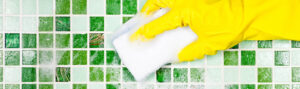 Top Green Business’s Cleaning Services