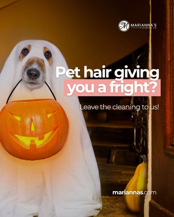 Is lingering pet hair giving you a fright this season? 🎃🐕🐈⬛ Instead of spending your…