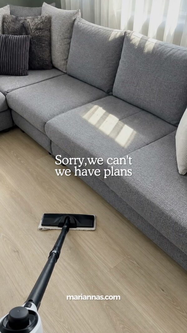 Our plans? Heading over to your house with specialized scrubbers, high-filtration vacuums, and deep-cleaning products…